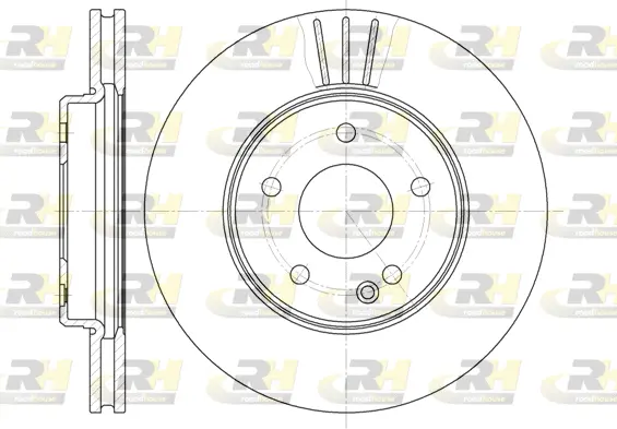 Brake Disc (6495.10)