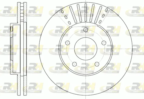 Brake Disc (6681.10)