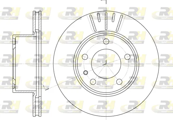 Brake Disc (6317.10)