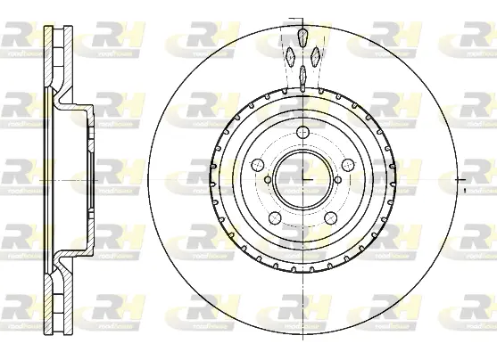 Brake Disc (61341.10)