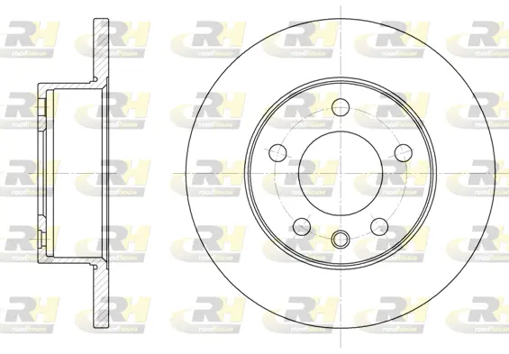 Brake Disc (6201.00)