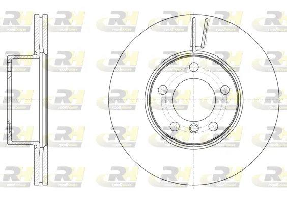 Brake Disc (61496.10)