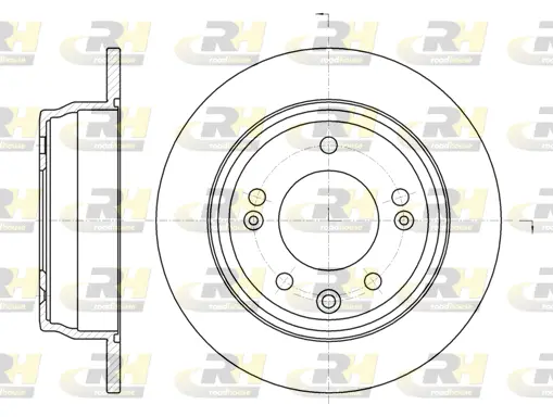 Brake Disc (61105.00)