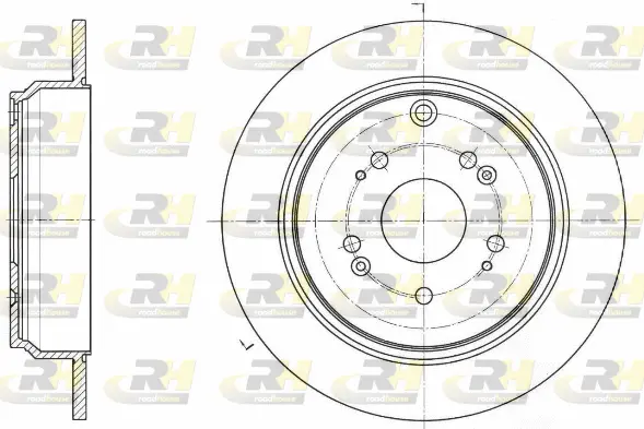 Brake Disc (61647.00)