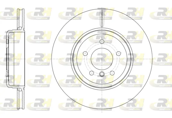 Brake Disc (61961.10)