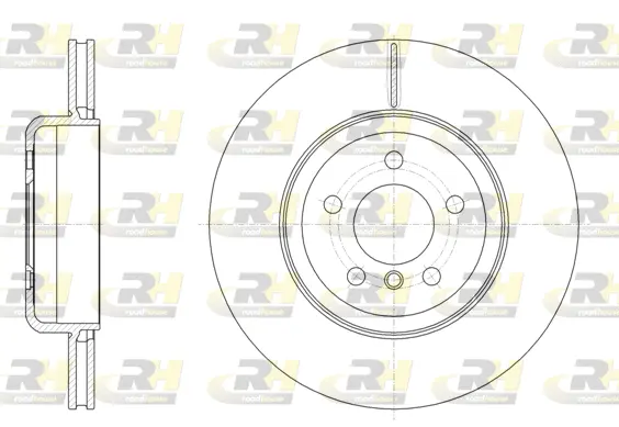 Brake Disc (61551.10)