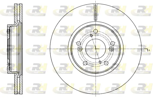 Brake Disc (61754.10)