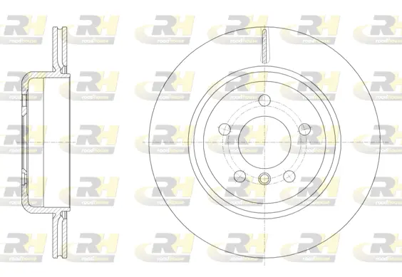 Brake Disc (61550.10)