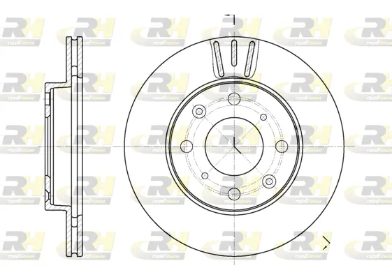 Brake Disc (61951.10)