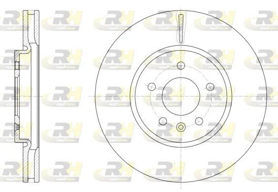 Brake Disc (61541.10)