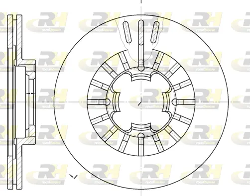 Brake Disc (61109.10)
