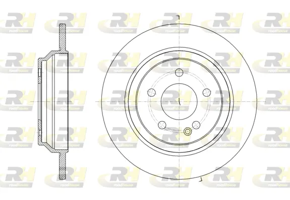 Brake Disc (61616.00)
