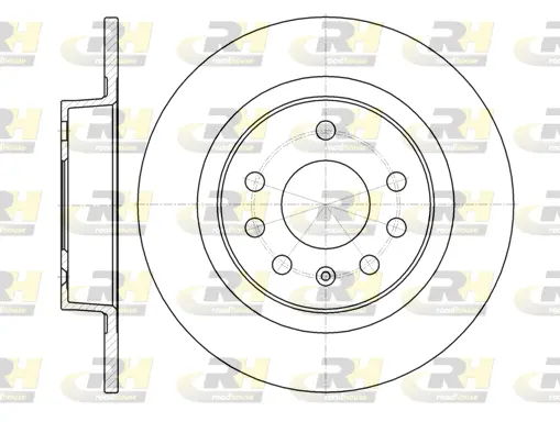 Brake Disc (61317.00)