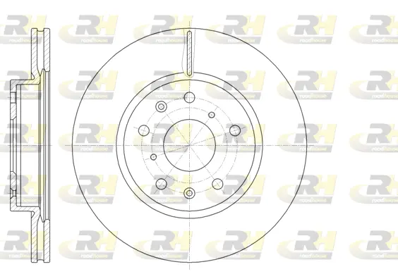Brake Disc (61018.10)