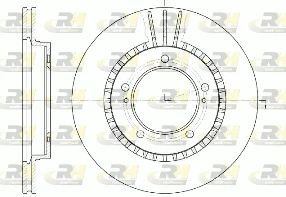 Brake Disc (61125.10)