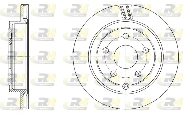Brake Disc (61691.10)