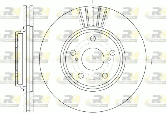 Brake Disc (61228.10)