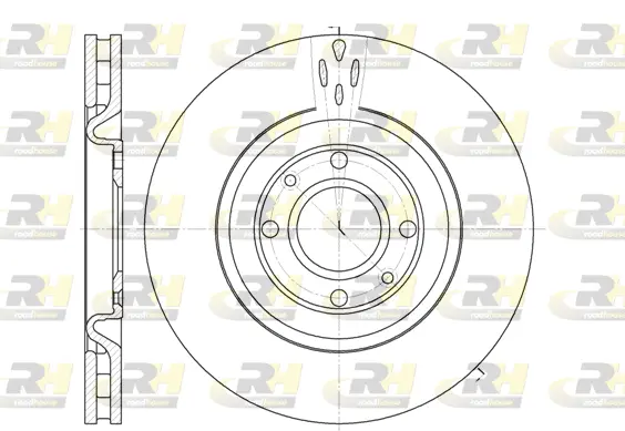 Brake Disc (6590.10)