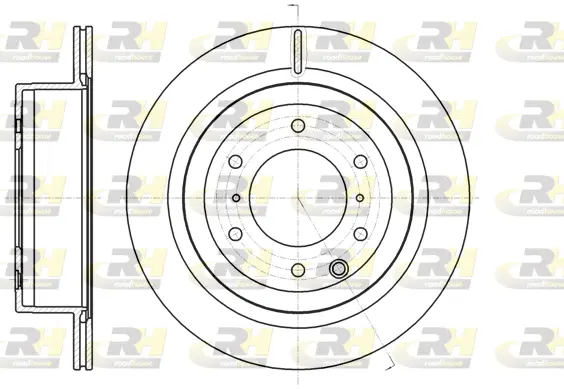 Brake Disc (61099.10)