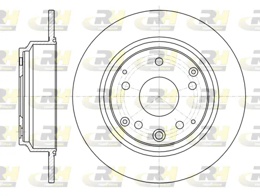 Brake Disc (61090.00)