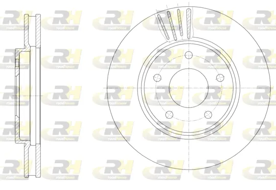 Brake Disc (61531.10)