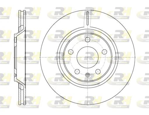 Brake Disc (61012.10)