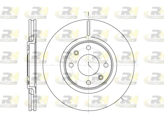 Brake Disc (6306.10)