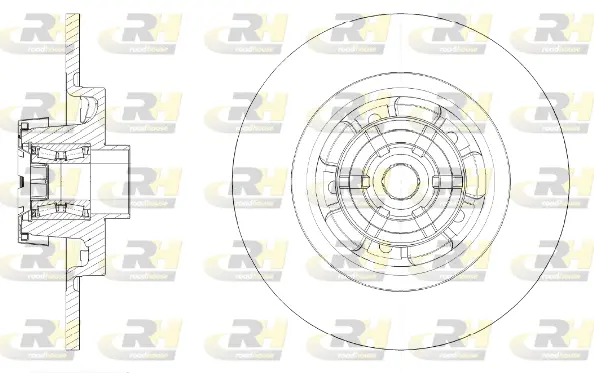 Brake Disc (61591.20)