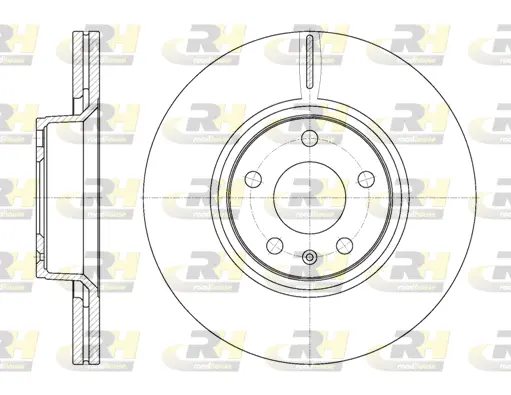 Brake Disc (61101.10)