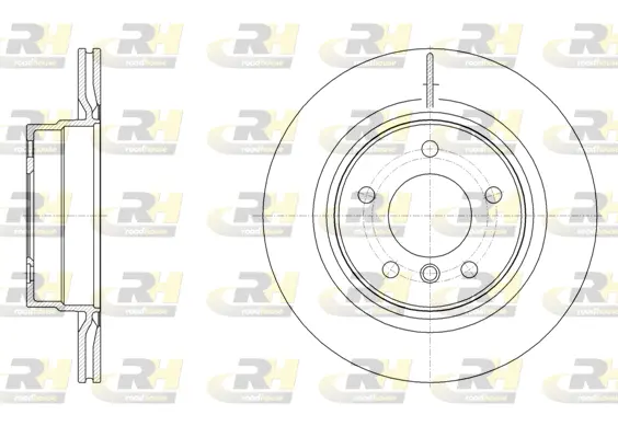 Brake Disc (61495.10)