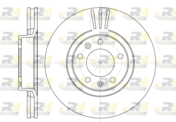 Brake Disc (6307.10)