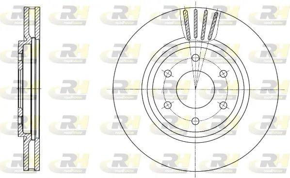 Brake Disc (61695.10)