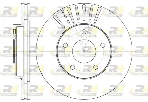 Brake Disc (61973.10)