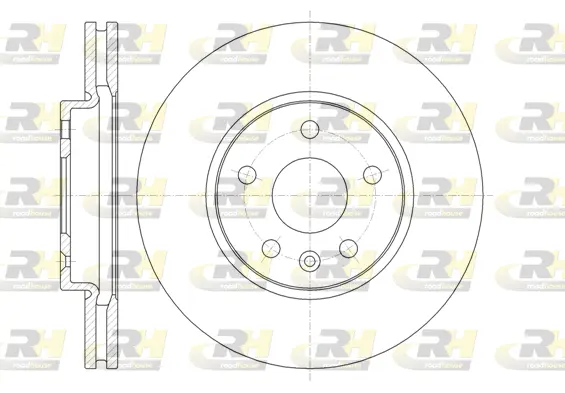 Brake Disc (61313.10)