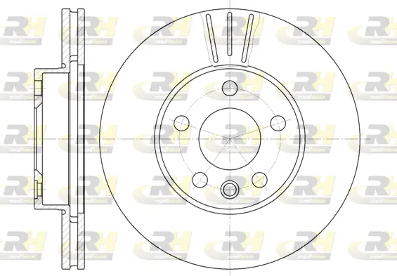 Brake Disc (6496.10)