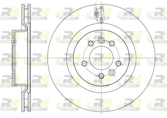 Brake Disc (61613.10)