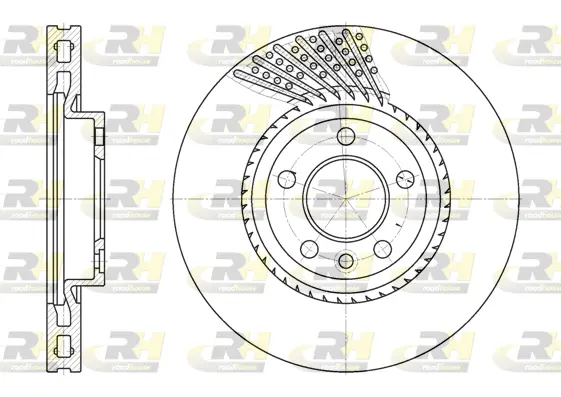 Brake Disc (6749.10)