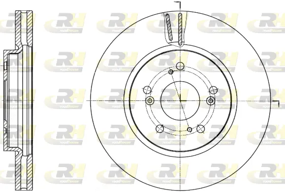Brake Disc (61643.10)
