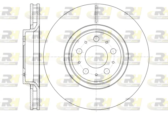 Brake Disc (61303.10)