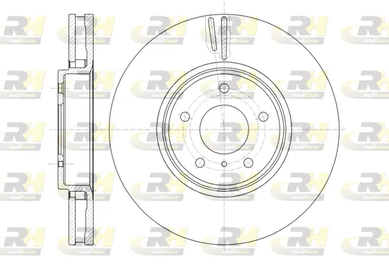 Brake Disc (61244.10)