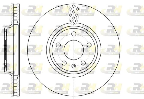 Brake Disc (61110.10)
