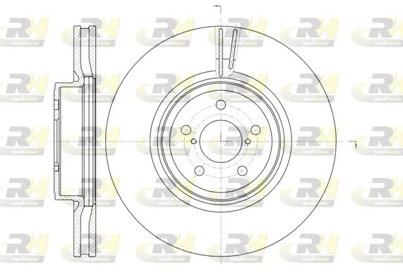 Brake Disc (61856.10)
