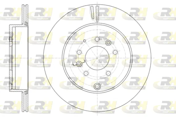 Brake Disc (61402.10)