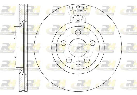 Brake Disc (6305.11)