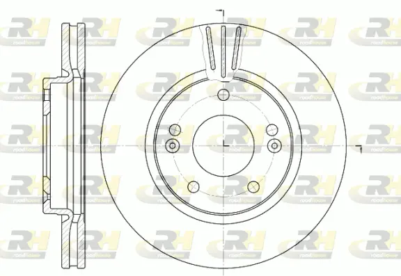 Brake Disc (6667.10)