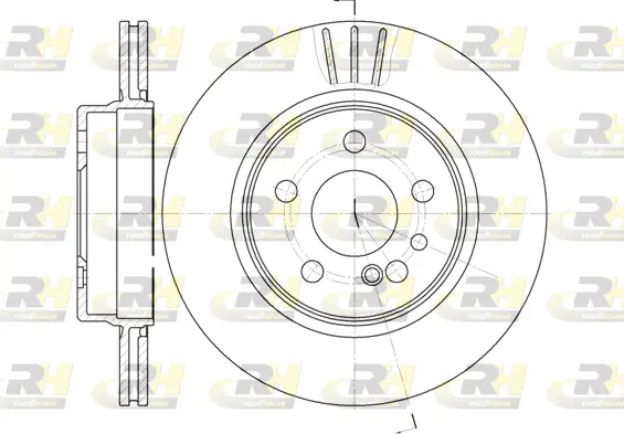 Brake Disc (6343.10)