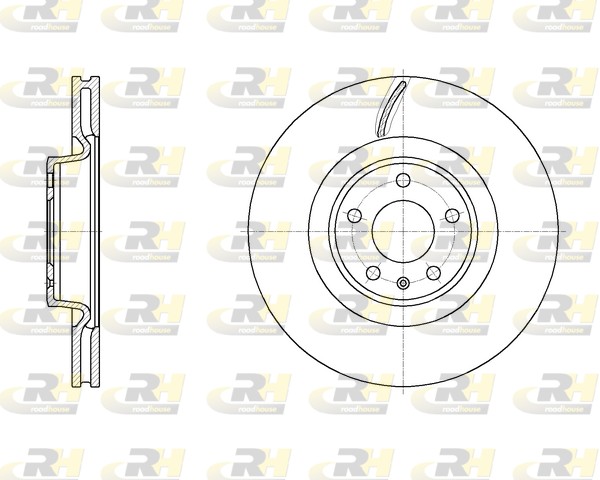 Brake Disc (61970.10)