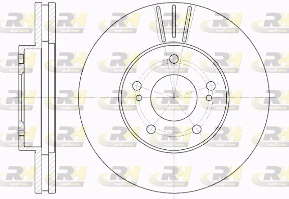 Brake Disc (61935.10)