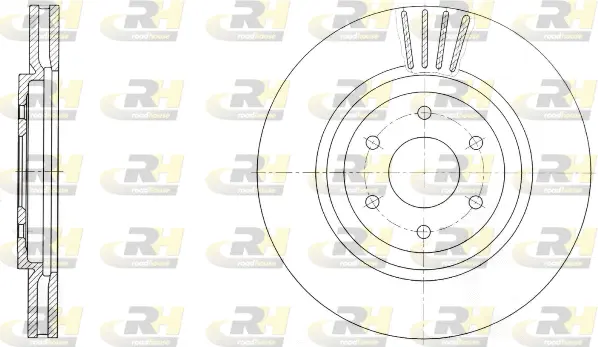 Brake Disc (61729.10)