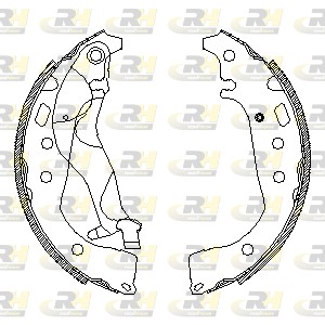 Brake Shoe (4556.01)